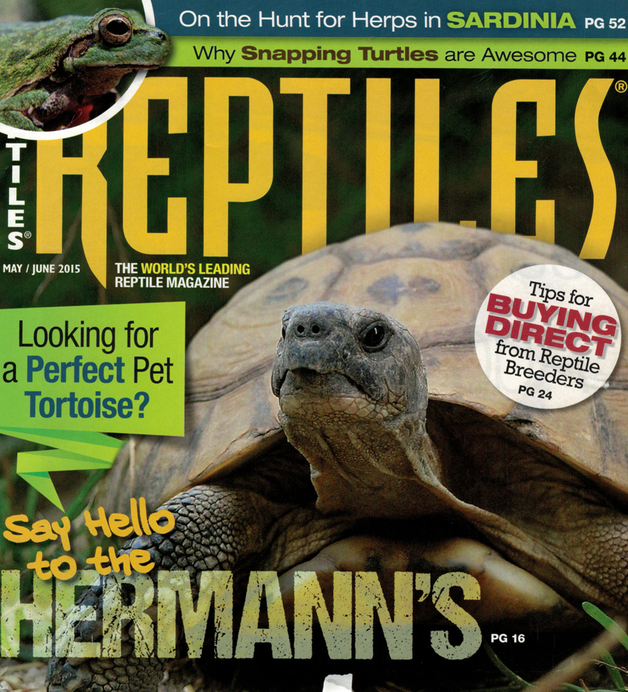 The Argentine Boa Constrictor - Reptiles Magazine