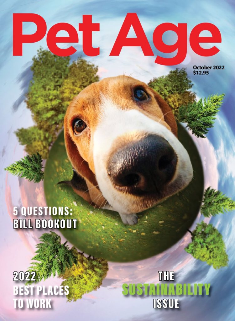 Beagle sitting on a tiny planet